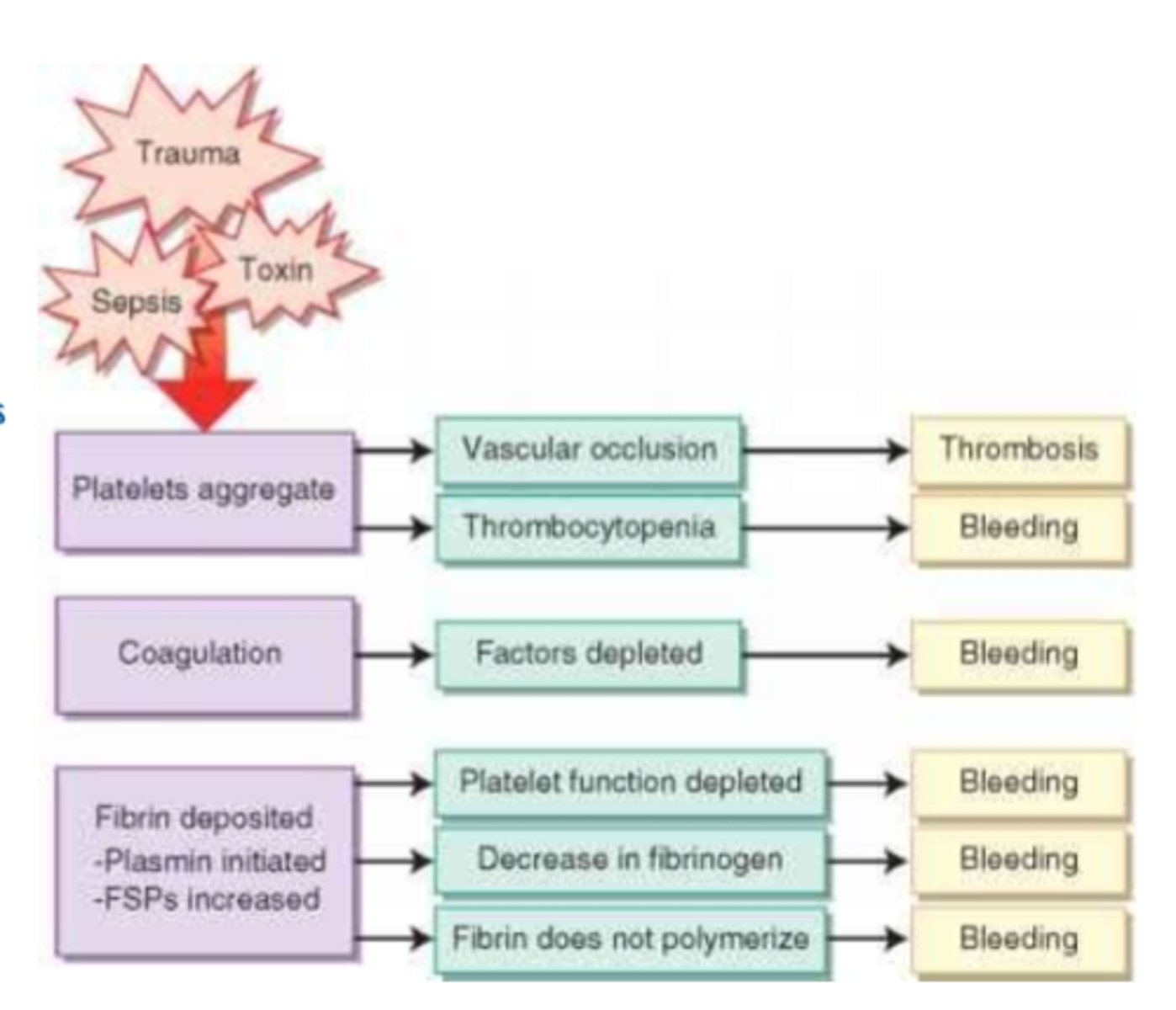 <p>=> 1st: widespread coagulation</p><p>=> 2nd depletion of platelets &amp; clotting factors => bleeding</p>