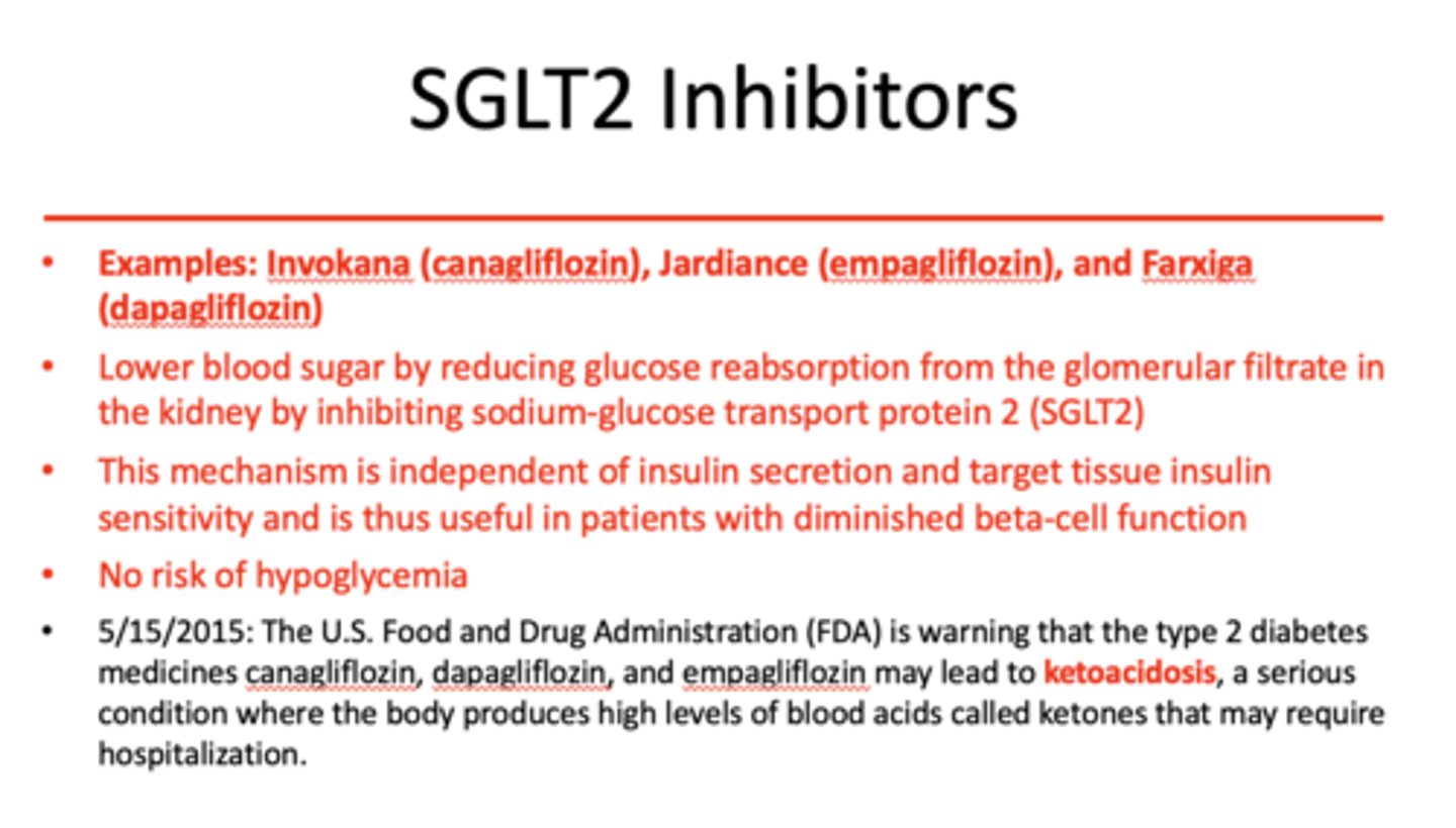 <p>SGLT2 Inhibitors</p>