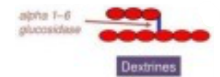 <p>On obtient une dextrine </p>