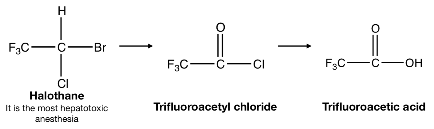 <p><strong>HALOTHANE</strong> TO <strong>TRIFLUOROACETYL CHLORIDE</strong> TO <strong>TRIFLUOROACETIC ACID</strong></p>