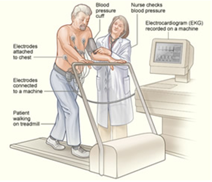 <p><span style="font-family: Calibri">Study that evaluates cardiac function ___ during physical stress by riding a bike or walking on a treadmill. Electrocardiography is the most common method, but echocardiography, and nuclear medicine scanning (diagnostic imaging tests) can also be used to measure cardiac function while exercising</span></p>
