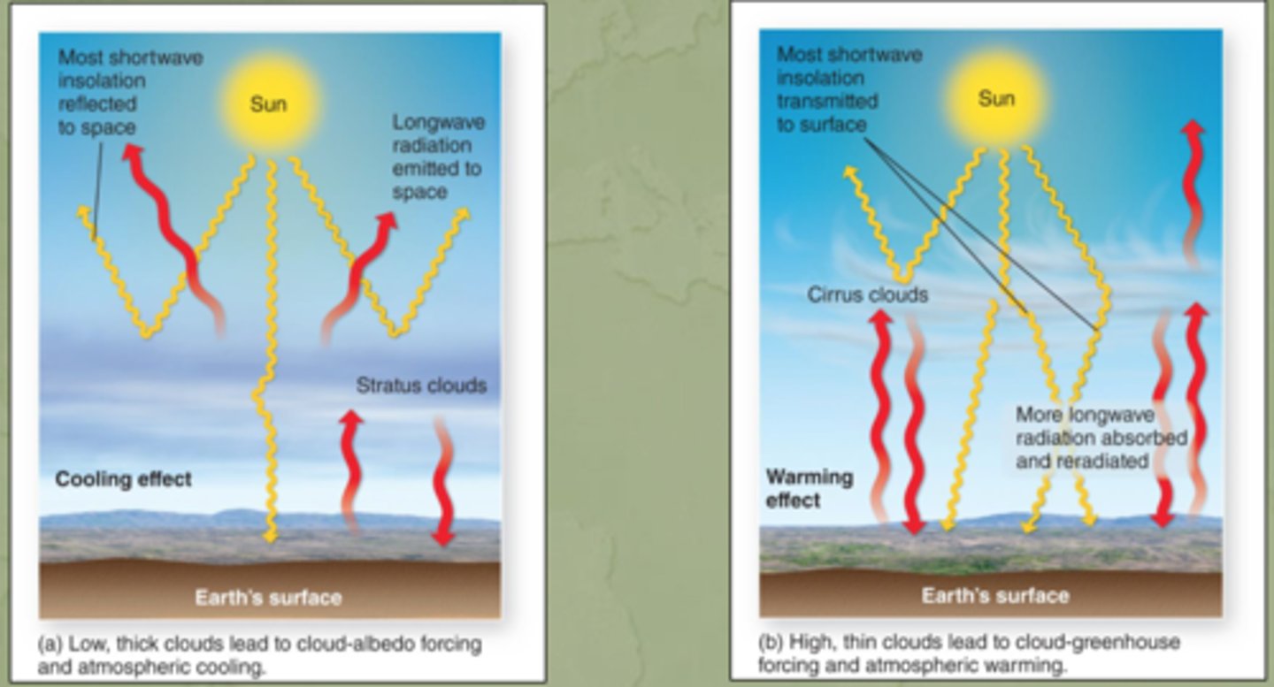 <p>clouds reflect and scatter incoming solar radiation. lowering the amount of insolation</p>