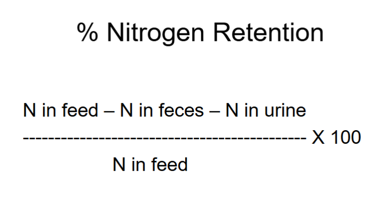 <p>[(N in feed - N in feces -N in urine)/ N in feed] x 100</p>