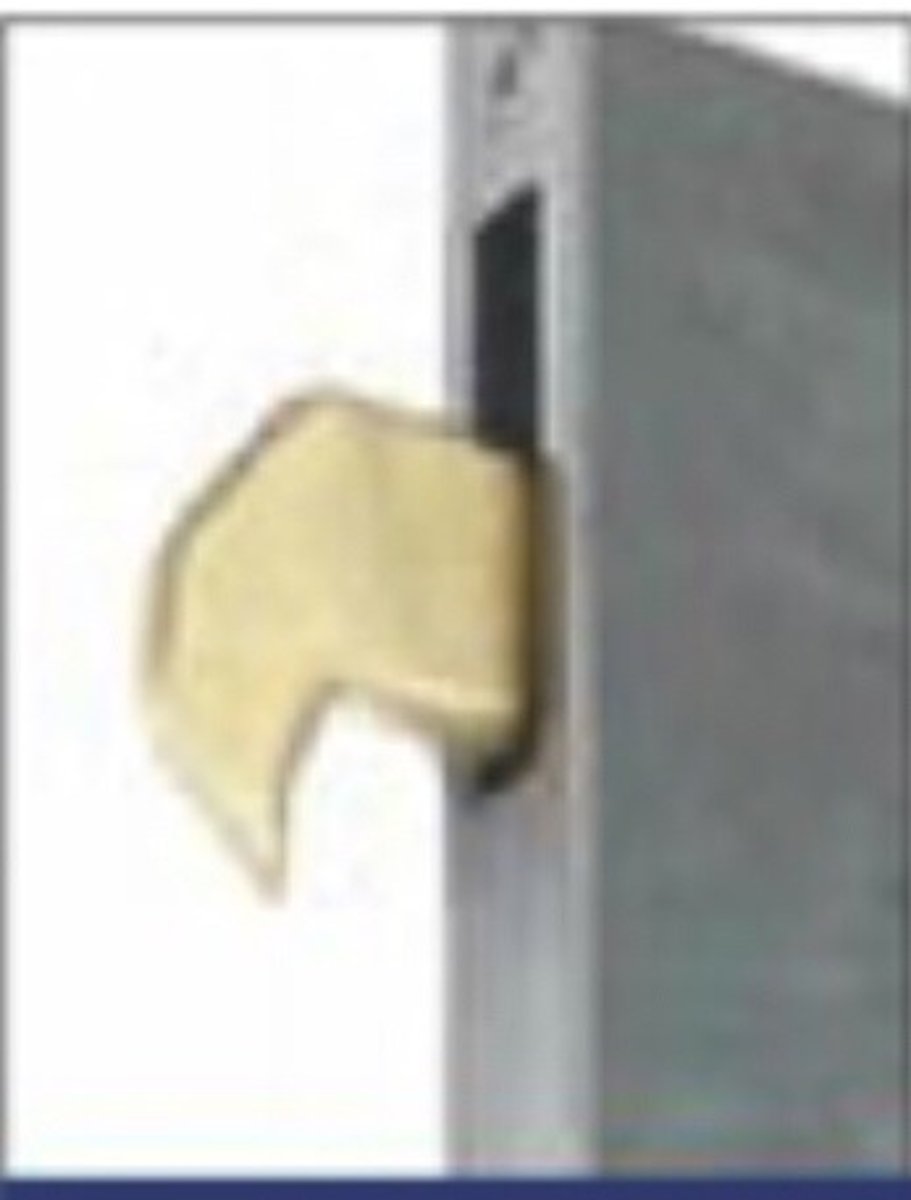 <p>what type of lockpoint is this?</p>