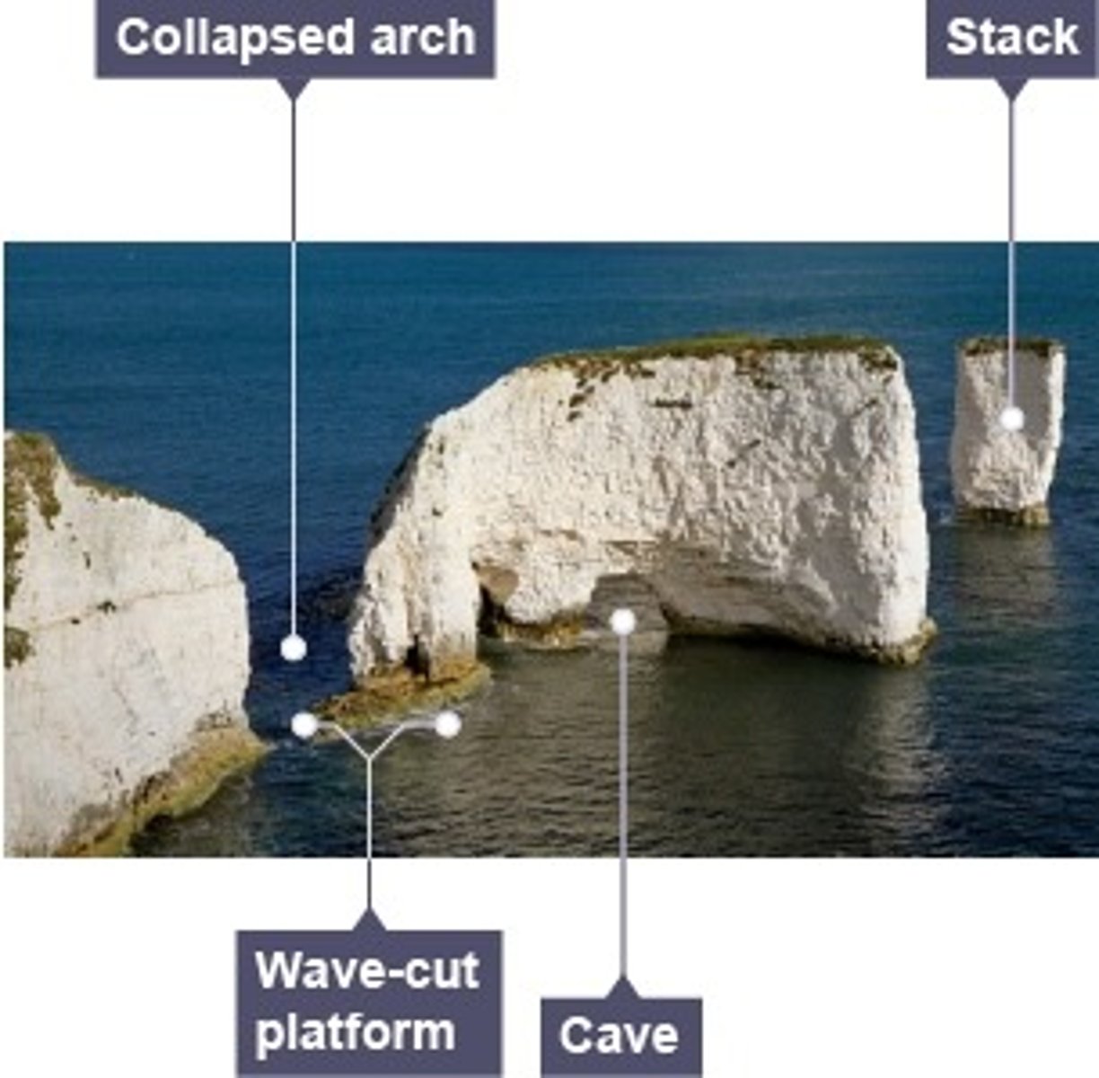 <p>old harry rocks</p>