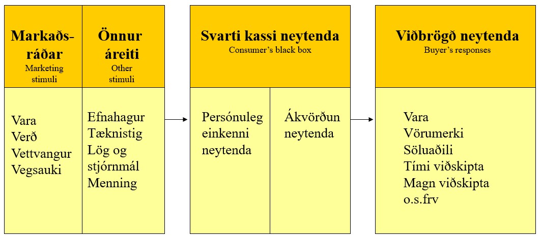 Hverjir kaupa?
Hvernig kaupa þeir?
Hvenær kaupa þeir?
Hvar kaupa þeir?
Af hverju kaupa þeir?

Það sem hefur áhrif á kauphegðun er meðal annars menning og stétt, samfélag, fjölskylda, hlutverk og staða, aldur og líftímaskeið, starf, efnahagslegar aðstæður, lífstíll, persónuleiki og sjálfið, hvatning, skynjun og viðhorf. 