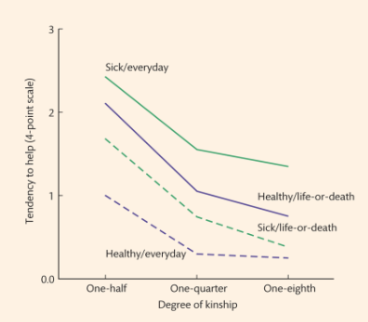 <p>participants were asked to rate how likely they were to help other people based on degree of kinship + how healthy/sick they were</p><ul><li><p>found participants more likely to help the sick than the healthy in an everyday situation, but more likely to help the healthy in a life-or-death situation</p></li><li><p>scores increased with the degree of kinship → shows we may be more likely to help people likely to carry on our genetic line</p></li></ul><p></p>