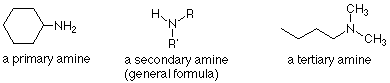 <p></p>