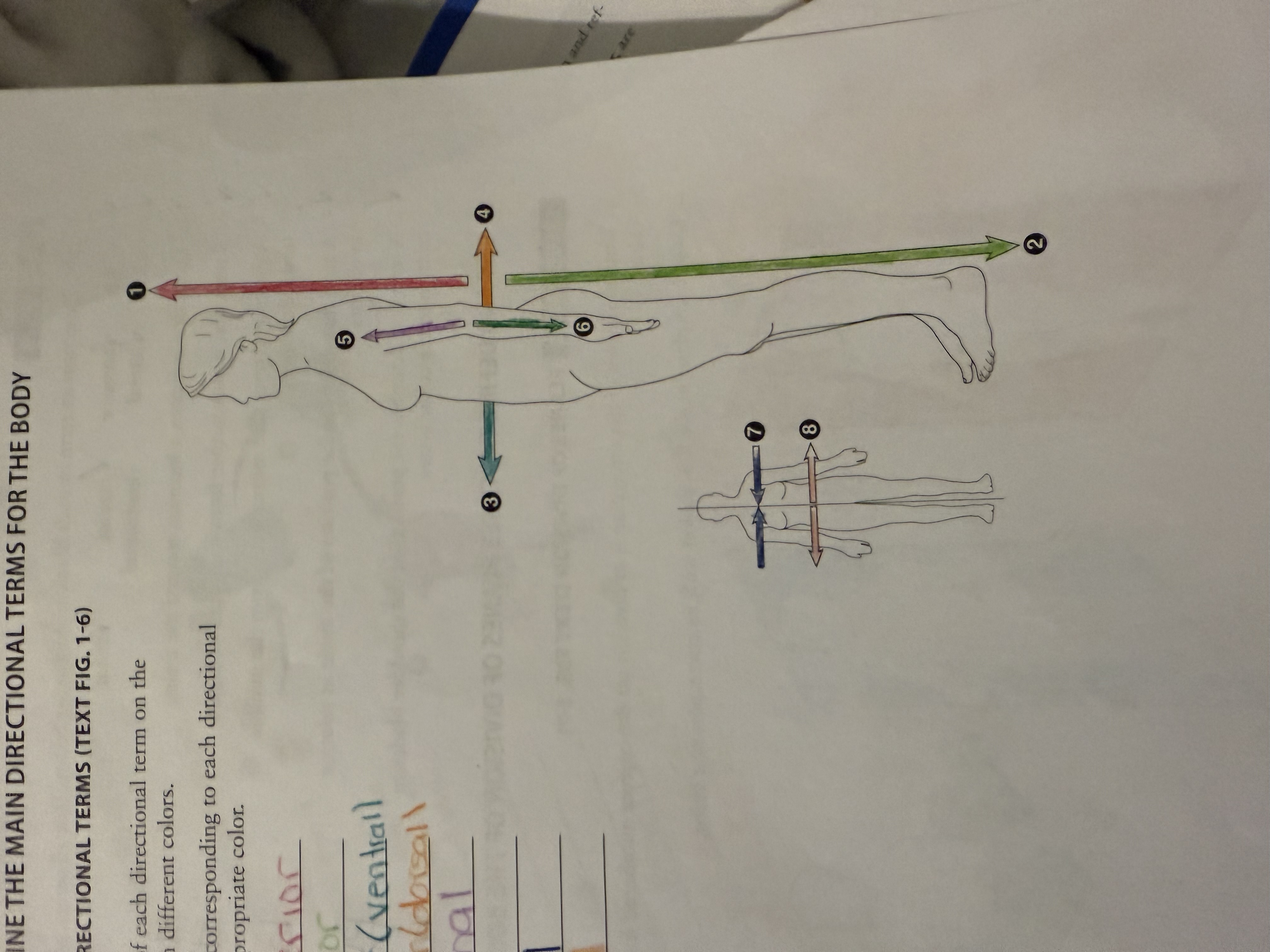 <p>Term 1</p>