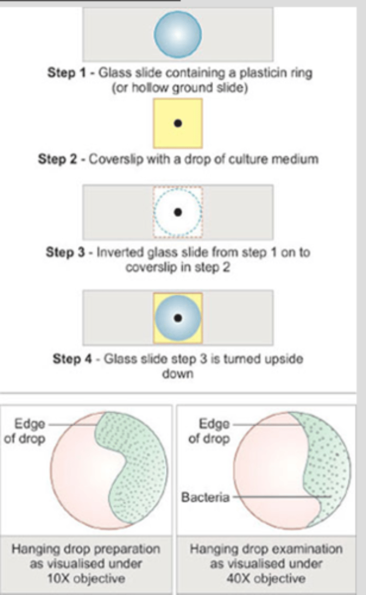 <p>Special slides are available that contain concave depressions in the center </p><p>-the slide should be cleaned w alcohol and wiped dry </p><p>-a small ring of petroleum jelly is placed around the concave area just before use </p><p>-place a drop of bacterial suspension on a coverslip and invert it onto the concave area of the slide </p><p>-press the cover slip down slightly so the jelly seals the conclave </p><p>-the suspension will be left hanging upside down into the well of the concave slide</p>