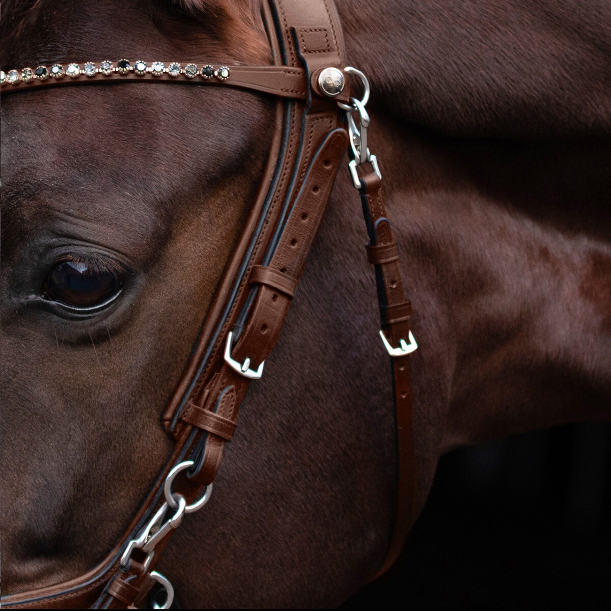 <p>A strap that is part of the bridle, fitting under the horse's throat and connecting to the crown piece. Its purpose is to prevent the bridle from slipping over the horse's head. It should be adjusted to fit one fist. </p>