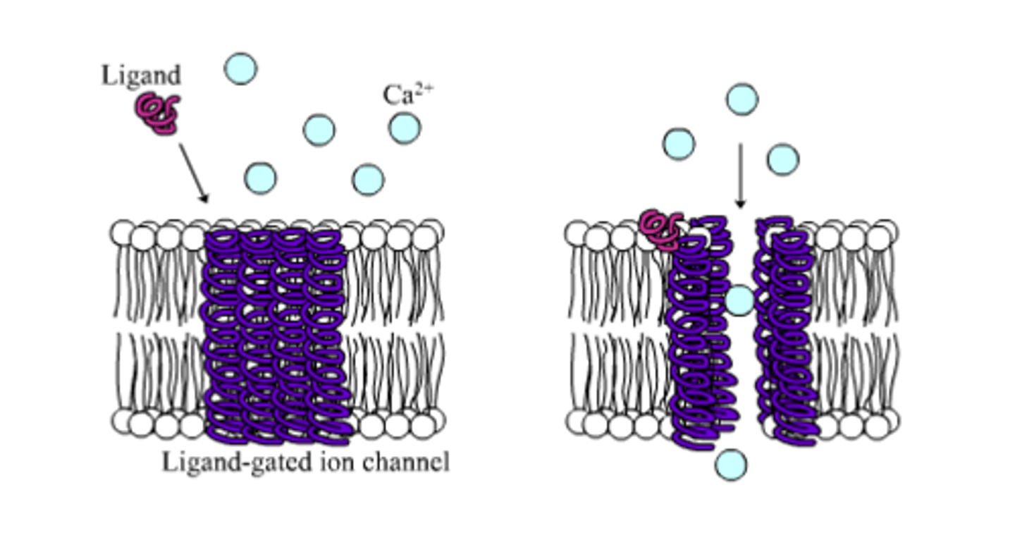 <p>ligand</p>