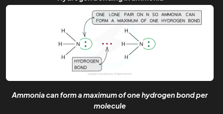 <p><span>The number of hydrogen bonds depends on:</span></p>