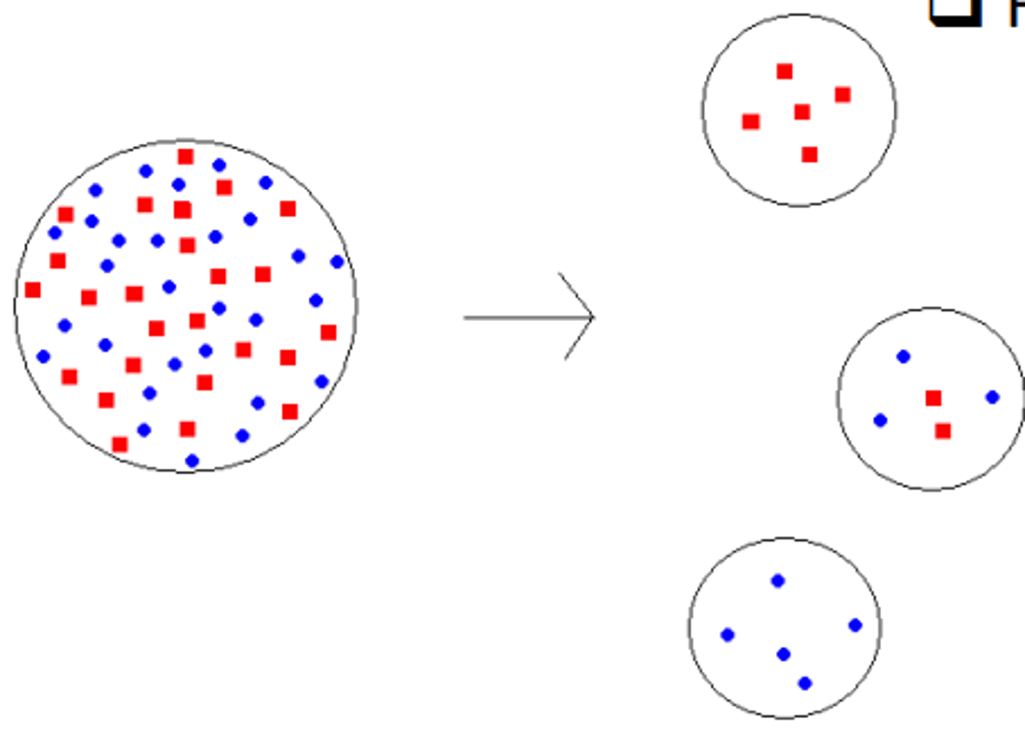 <p>1) A small group of individuals separate from a larger population.</p><p>2) representative of the original population.</p><p>3) ▪ E.g. Pennsylvania Amish population</p><p>▪ E.g. Barranquitas village of Venezuela</p>