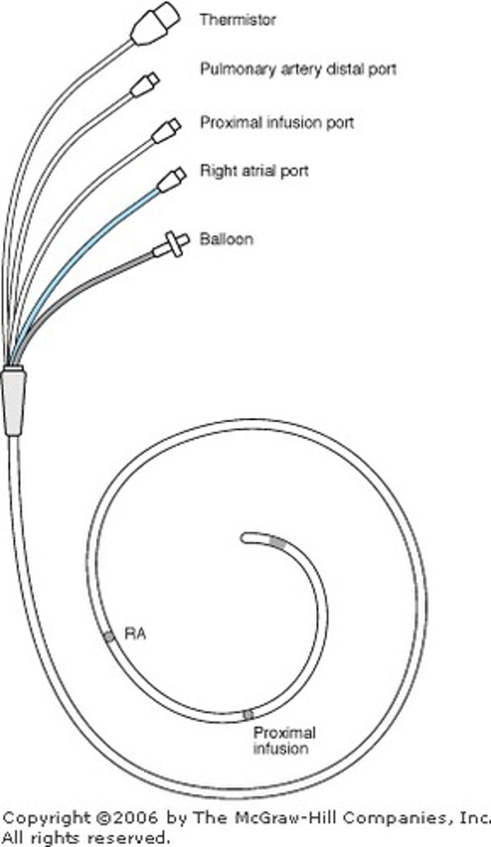 <p>cardiac function, preload volume status, responses to therapeutic interventions; important for major CV surgeries</p>
