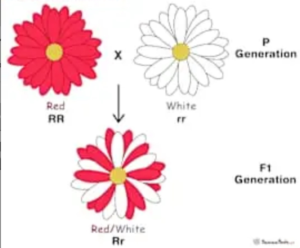 <p>This would be an example of…</p>