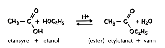 R is an alkyl group (an alkane missing one hydrogen) +