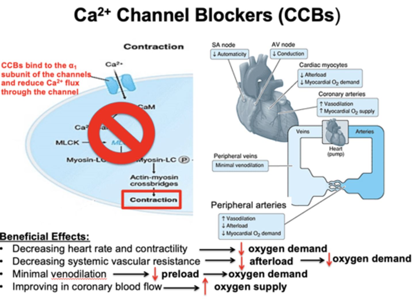 <p>decrease O2 demand</p><p>decrease afterload (decrease oxygen demand)</p><p>decrease preload</p><p>increase O2 supply</p>