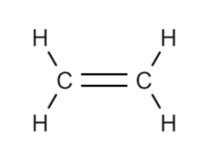 <p>C-C double bond.</p>