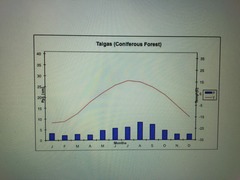 located in high latitudes, 50-60 N
low percipitation, low species diveristy and richness, low annual temperatures that promote permafrost, poor soil quality
evergreen coniferous trees and medium/small animals
Biggest threat is logging, lesser but still threatening is mining for natural gas and oil