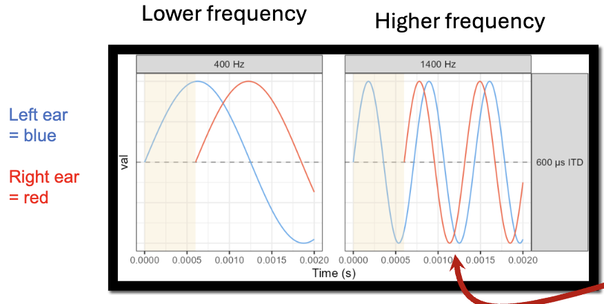 <p>Which ear is leading?</p>