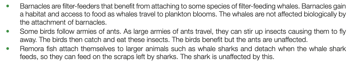 <ul><li><p>one species benefits, other in unaffected</p></li><li><p>e.g. on image</p></li></ul><p></p>