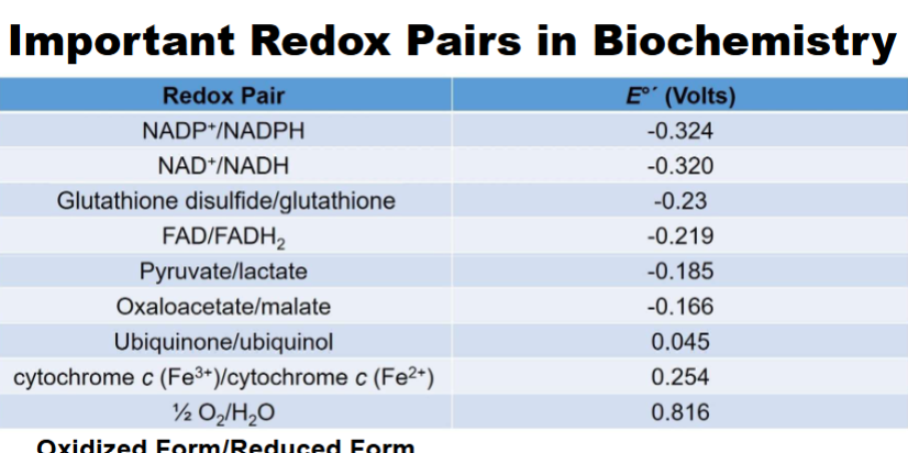 <ul><li><p>oxydized is on right, oxy poor on left</p></li><li><p>1) energy synthesis</p></li><li><p>2) energy synthesis</p></li><li><p>3) importnat antioxidant</p></li><li><p>4) important for energy metabolism</p></li><li><p>5) anaerobic metabolism</p></li><li><p>6) tca cycle</p></li><li><p>7, 8, 9 import for etc</p></li><li><p>Q: which is likely to be oxydied and which is reduced ( do this comparing reduction potentials ( look at neg. nad/nadh likely to be oxy, pyruc./lactate likely to be reduced)</p></li><li><p>q: which member of top pair going to participate nadh bc donate e to pyruvate bc thats e- poor one —> after this ndah goes to nad+ and pyruvate goes to lactate</p></li><li><p><strong>Oxidized form:</strong> On LEFT side, usually electron poor (higher oxidation state)</p></li><li><p class="my-2 [&amp;+p]:mt-4 [&amp;_strong:has(+br)]:inline-block [&amp;_strong:has(+br)]:pb-2"><strong>Reduced form:</strong> On RIGHT side, electron rich (lower oxidation state)</p></li></ul><p></p>