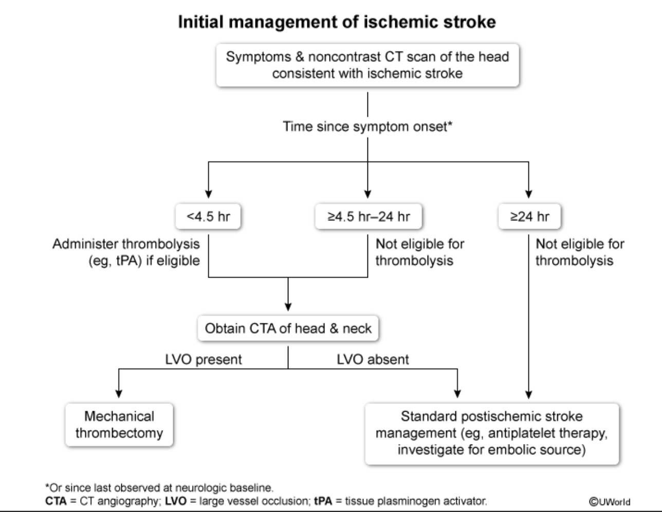 <p>Initial management ischemic stroke</p>
