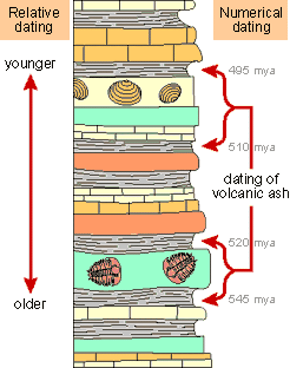 <p>Method of determining the age of a fossil by comparing its placement with that of fossils in other layers of rock.</p>