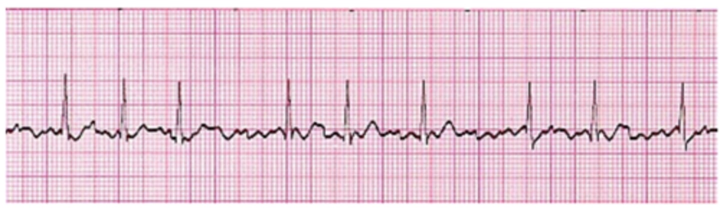 <p>What is this?</p>