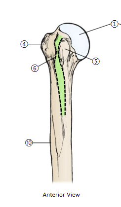 <p>6</p>