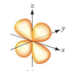 <p>This image represents? </p>