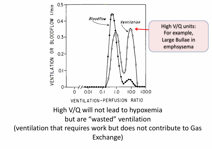 <p>-hypoxemia</p>