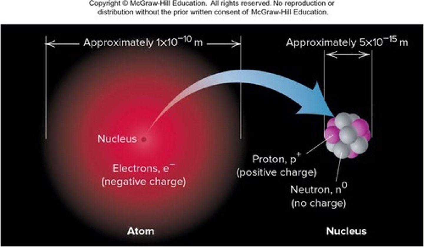 <p>The nucleus consists of protons and neutrons.</p>