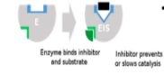 <p>Binds the enzyme away from the active site, altering shape of enzyme so even if substrate can bind, the active site functions less effectively if at all</p>
