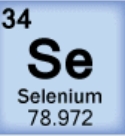 <p>Se</p>