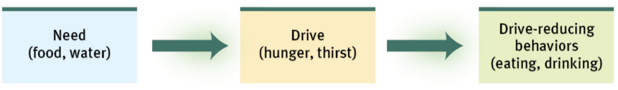 additional to our need to reduce drives, we are pulled by our incentives

* positive or negative environmental stimuli that lure or repel us. 
* the more these impulses are satisfied and reinforced, the stronger the drive may become

When there is both a need and an incentive, we feel strongly driven