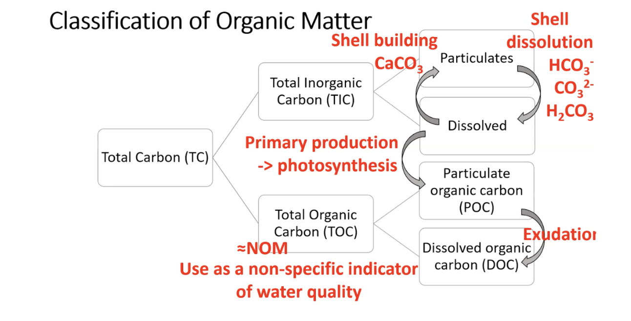 <p>Subcategories of Total Carbon (TC): Organic Carbon (OC) and Inorganic Carbon (IC). OC comes from living organisms, while IC comes from non-living sources like rocks and minerals. this can further be broken down into particulates, dissolved, particulate organic carbon, and dissolved organic carbon</p>