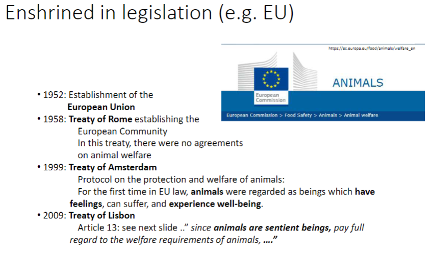 <p>European Union Milestones</p><p><strong>1952 Establishment Of The European Union</strong><br>āāNo specific animal welfare agreements</p><p><strong>1958 Treaty Of Rome</strong><br>āāEstablished European Community<br>āāNo agreements on <strong>animal welfare</strong></p><p><strong>1999 Treaty Of Amsterdam</strong><br>āāIntroduced <strong>Protocol on Protection and Welfare of Animals</strong><br>āāRecognized animals as <strong>sentient beings</strong> that can <strong>feel</strong>, <strong>suffer</strong>, and experience <strong>well-being</strong></p><p><strong>2009 Treaty Of Lisbon</strong><br>āā<strong>Article 13</strong> emphasizes animals as <strong>sentient beings</strong><br>āāRequires full consideration of <strong>welfare requirements</strong></p>