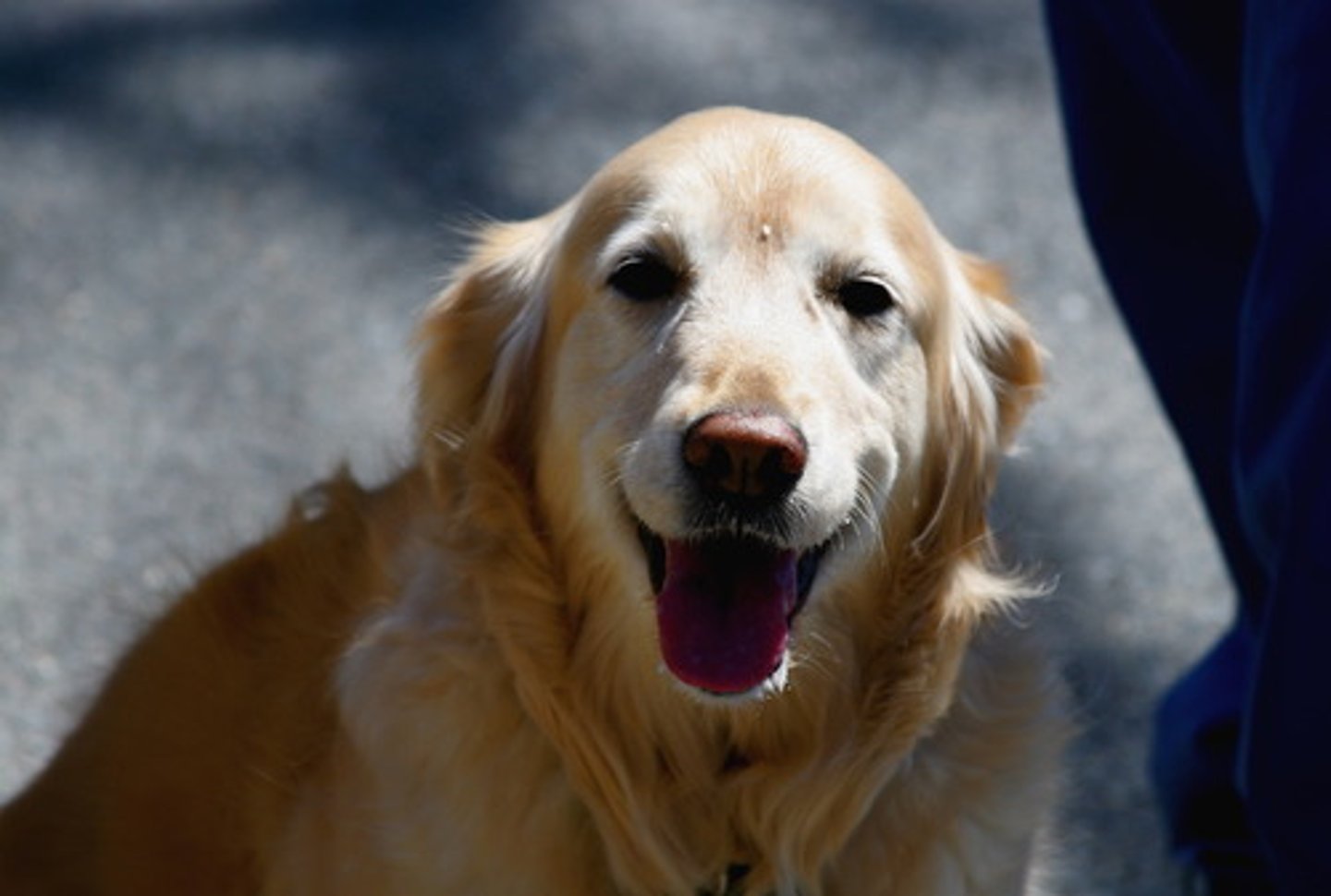 <p>happy</p>