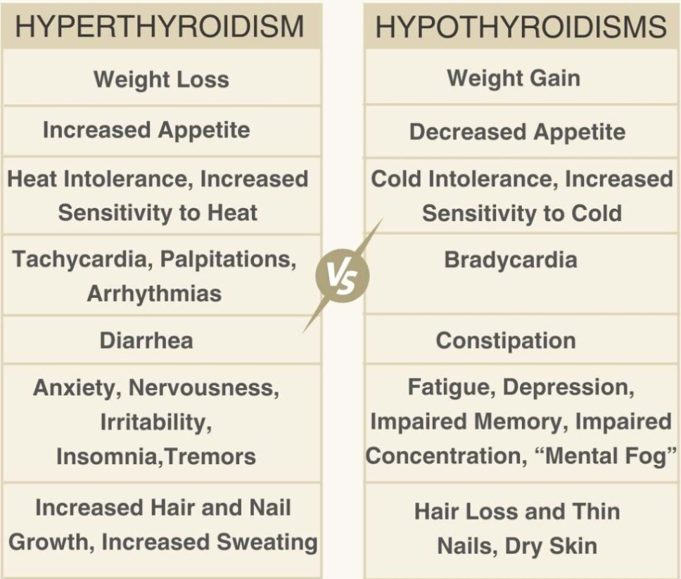 <ul><li><p><strong>Hypothyroidism: </strong></p><ul><li><p>Releases too little thyroid hormones. </p></li><li><p>Decreases metabolic rate </p></li><li><p>Caused by Hashimoto’s disease (antibodies destroy thyroid cells)</p></li></ul></li><li><p><strong>Hyperthyroidism: </strong></p><ul><li><p>Releases too much thyroid hormones. </p></li><li><p>Increases metabolic rate</p></li><li><p>Caused by Grave’s disease (antibodies activate thyroid cells)</p></li></ul></li></ul><p></p>