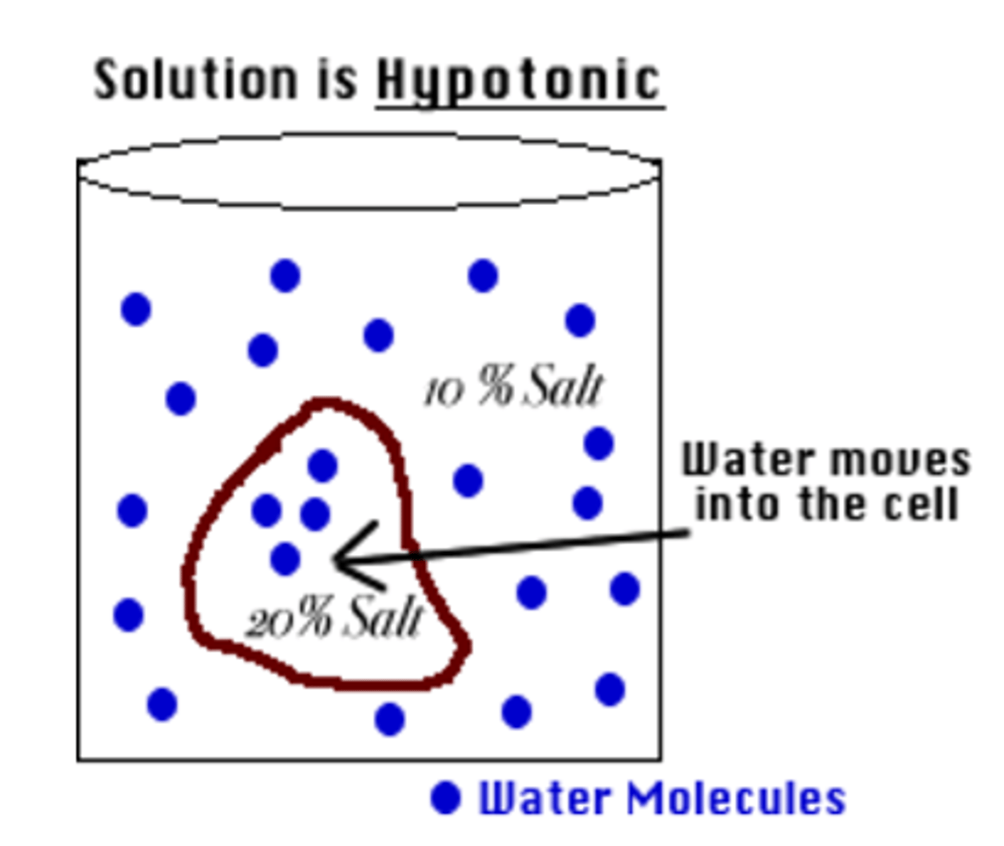 <p>-Solute concentration is lower outside the cell than inside</p><p>-ex: In the produce section of your grocery store you can observe veggies and fruit being misted so that they look firm and fresh</p>