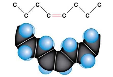 One or more double bonds; monounsaturated, polyunsaturated 