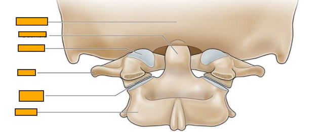 <p>Label from top to bottom </p>