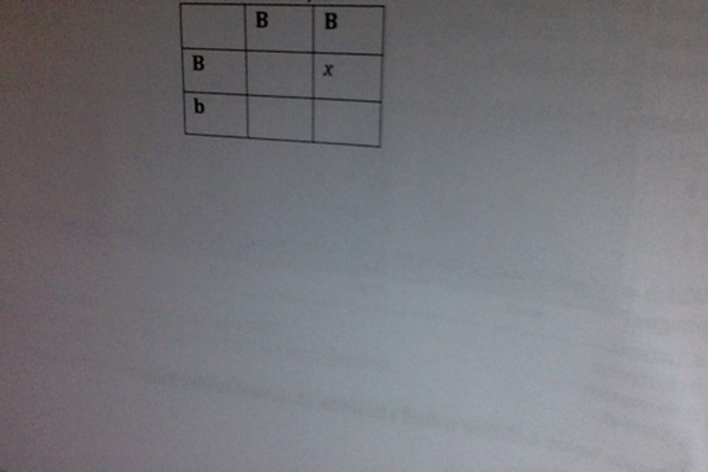 <p>C. BB</p><p>Crossing the corresponding alleles from each parents will yield a result of BB in the upper right box of this Punnett square.</p>