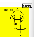<p>Name structure </p>