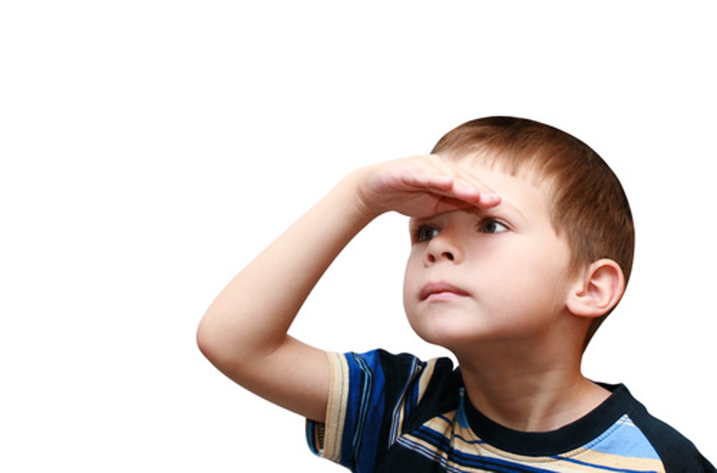 <p>потрапити на очі</p>