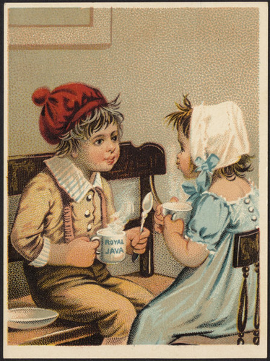 <p>to insist</p>
