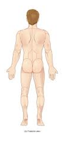 <p>From the back</p>
