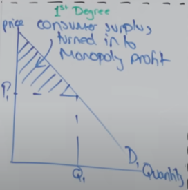 <ul><li><p>consumers are charged the exact price they are willing to pay for a good/service</p></li><li><p>eroding all consumer surplus and turning it into monopoly profit</p></li></ul><p></p>